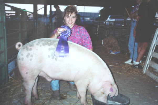 Grand Champion Piggy